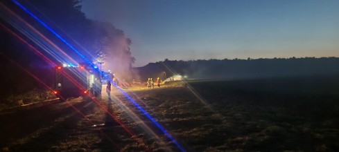 Einsatzfoto 174-2023_Holtensen_5.jpg