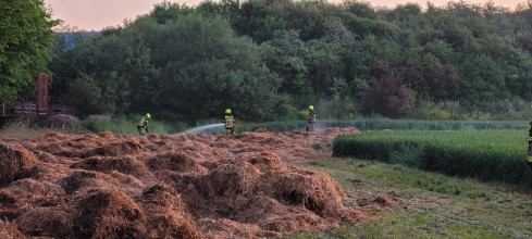 Einsatzfoto 174-20230604_052526.jpg