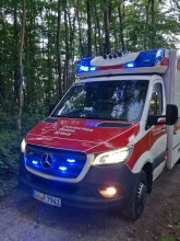 Einsatzfoto 20240709_202851_03.jpg