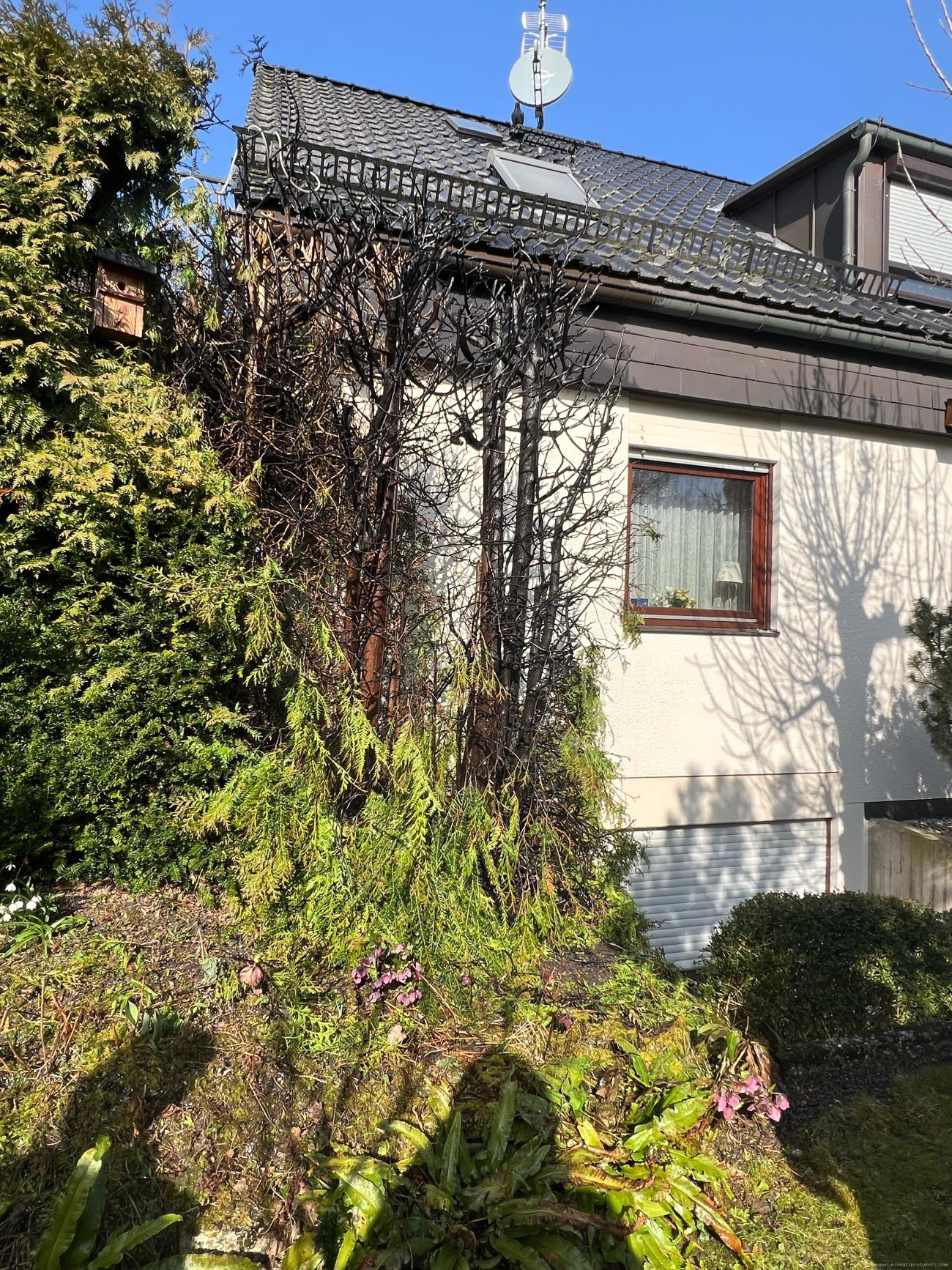 Einsatzfoto 19f49bfa-04d1-4537-a517-097de0c27fd8.jpg